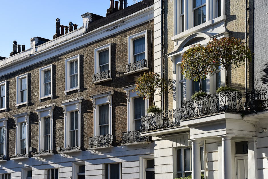 Pimlico Westminster estate rubbish removal tips for flats
